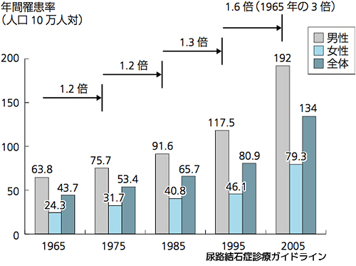 上部尿路結石（腎結石，尿管結石）の年間罹患率