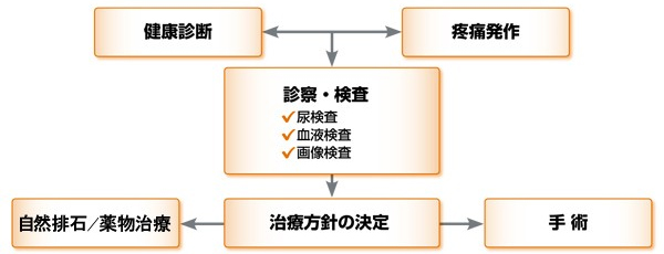 主な診断手順の例