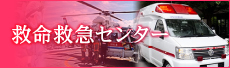 救命救急センター