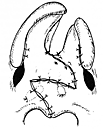 （図9-4　完成）